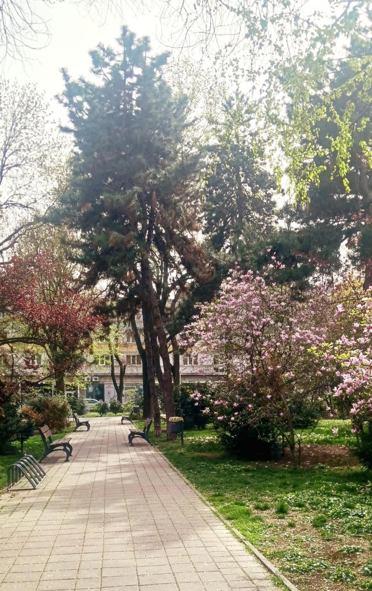The House In The Park Bucharest Appartement Buitenkant foto